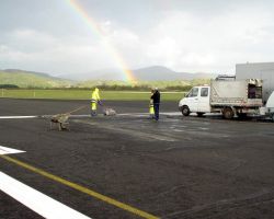 LETALISCE CERKLJE 21.4.2012 (8).jpg