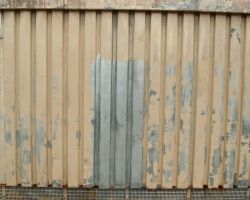 Falch Photos-138.jpg