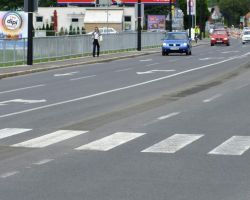 28.5.2012 CISCENJE TALNIH OZNAK - LJUBLJANA ..(41).JPG