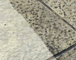 MALINSKA 24.4.2012 (193).JPG