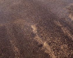 24.3.2012 AERODROM MARIBOR 050 (83).jpg